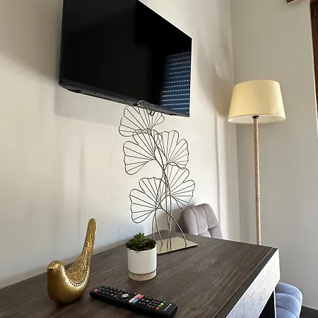 Agora Connect Space 브린디시